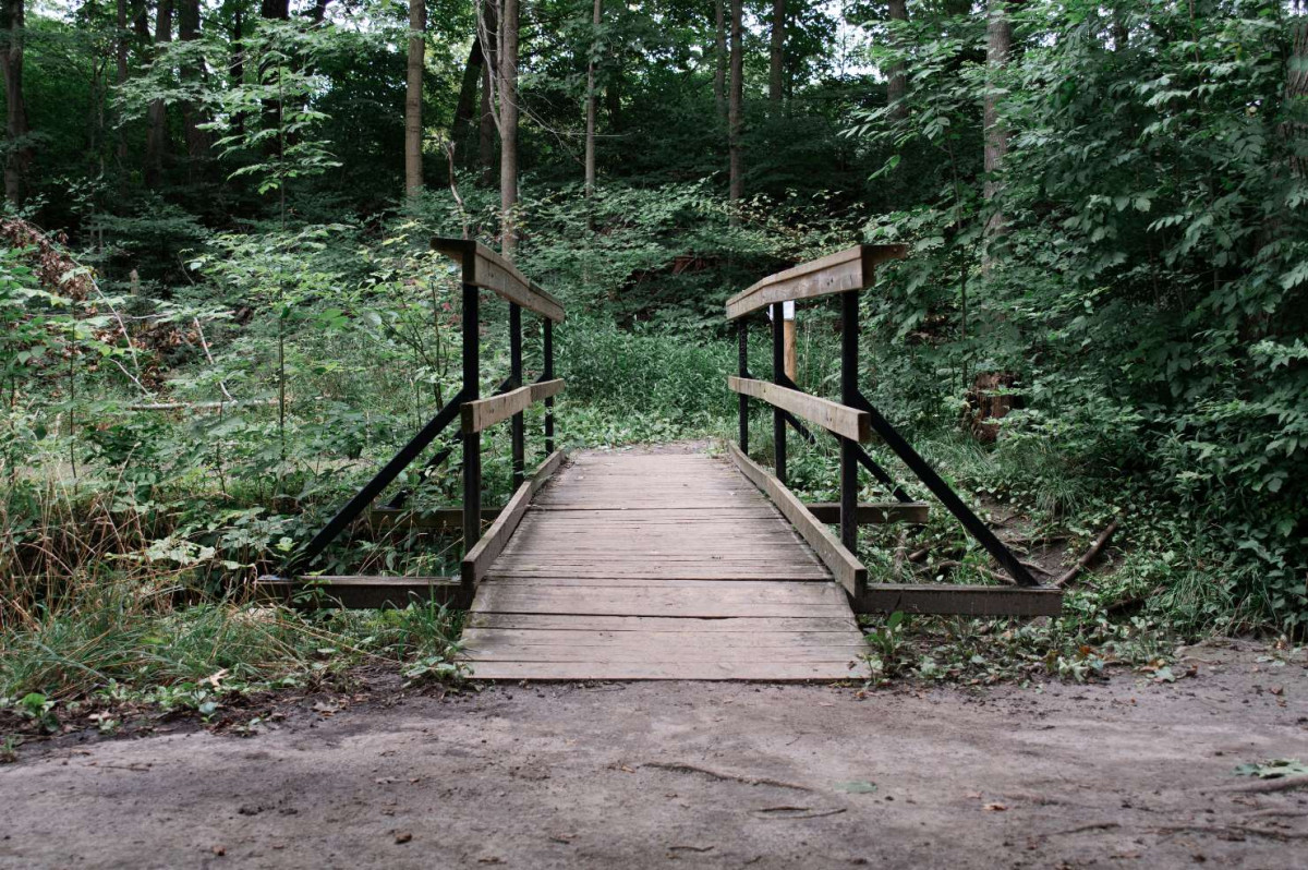 Trail bridge